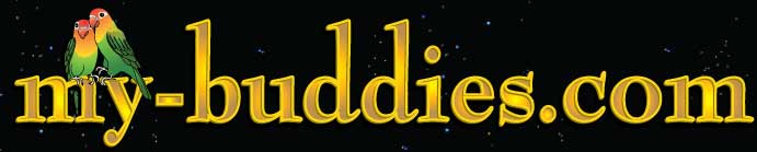 mybuddiesname